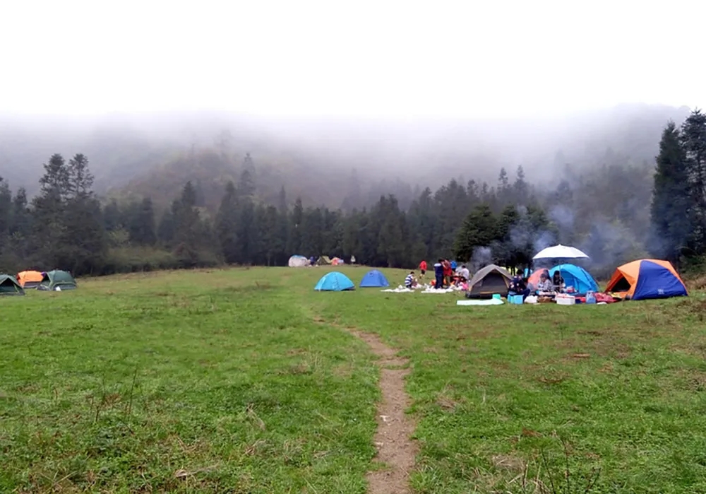 工作情况_武隆旅游:待天气晴好,到武隆梦幻谷去露营_重庆市武隆区人民