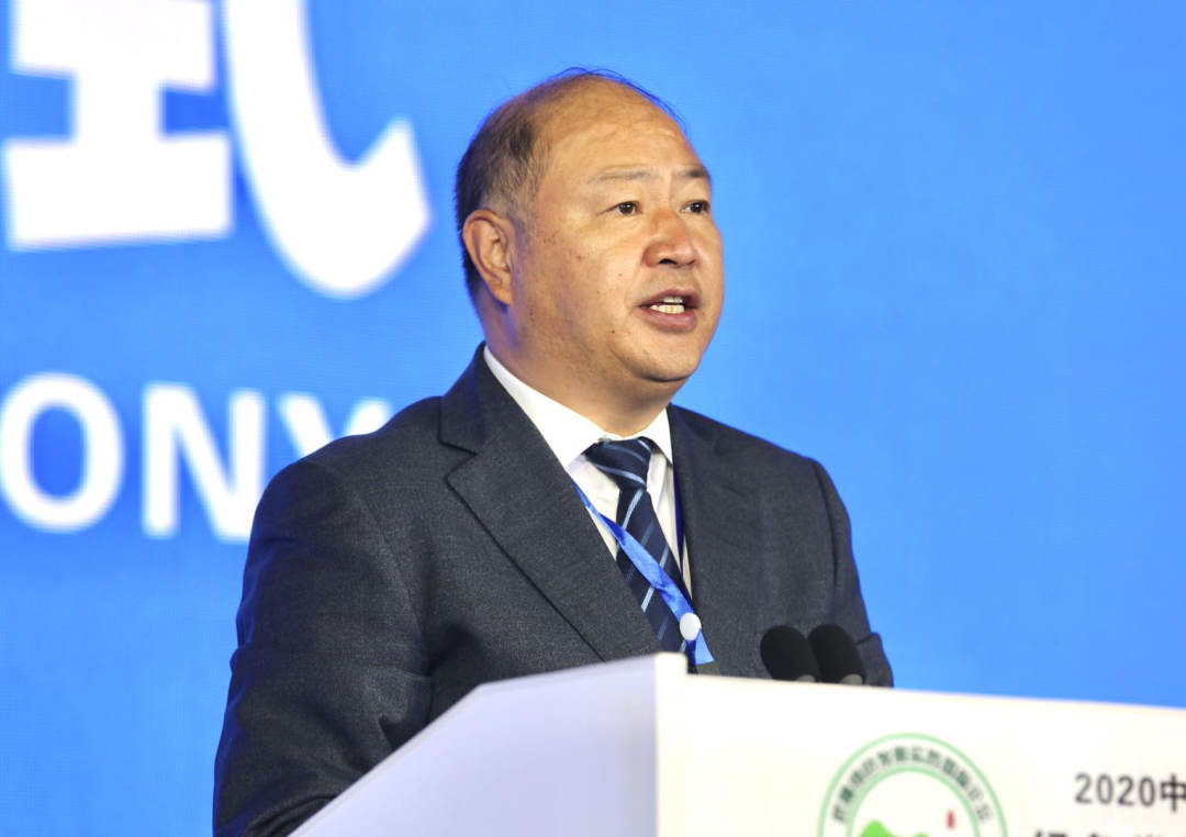 武隆践行两山论让绿色成为高质量发展新底色