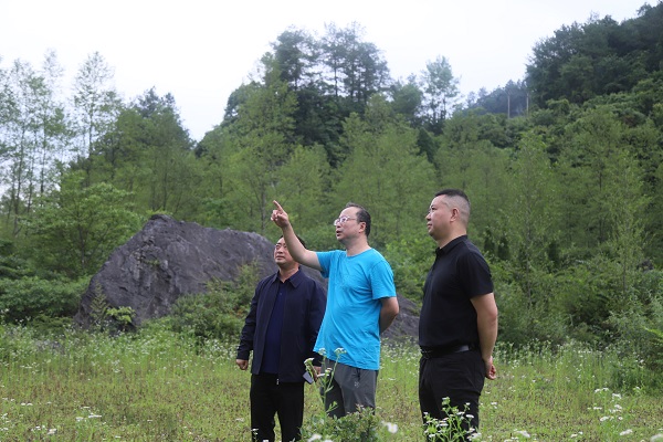 6.15(范立新)调研罩云山(陈娜霖).jpg